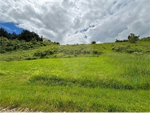 terrain à la vente -   89290  QUENNE, surface 4097 m2 vente terrain - UBI464858576